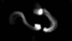 Near the center of a black background, two glowing white spots approach each other. Faint curving trails mark the path of their motion to arrive at this place.
