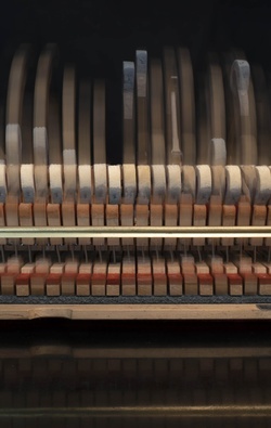 A row of hammers inside a piano: some are striking as the piano is played.