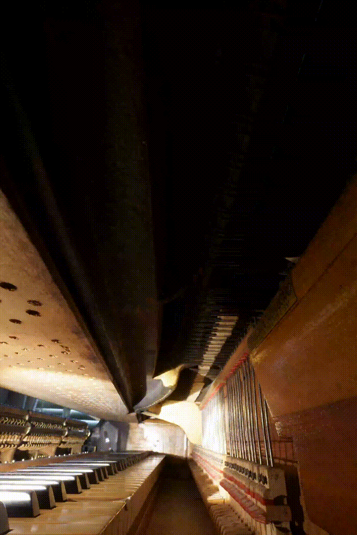 Super-imposed close-ups of the keyboard and interior of a piano. Rows of keys and strings recede to the back of the photo, and a shifting light source illuminates different areas.