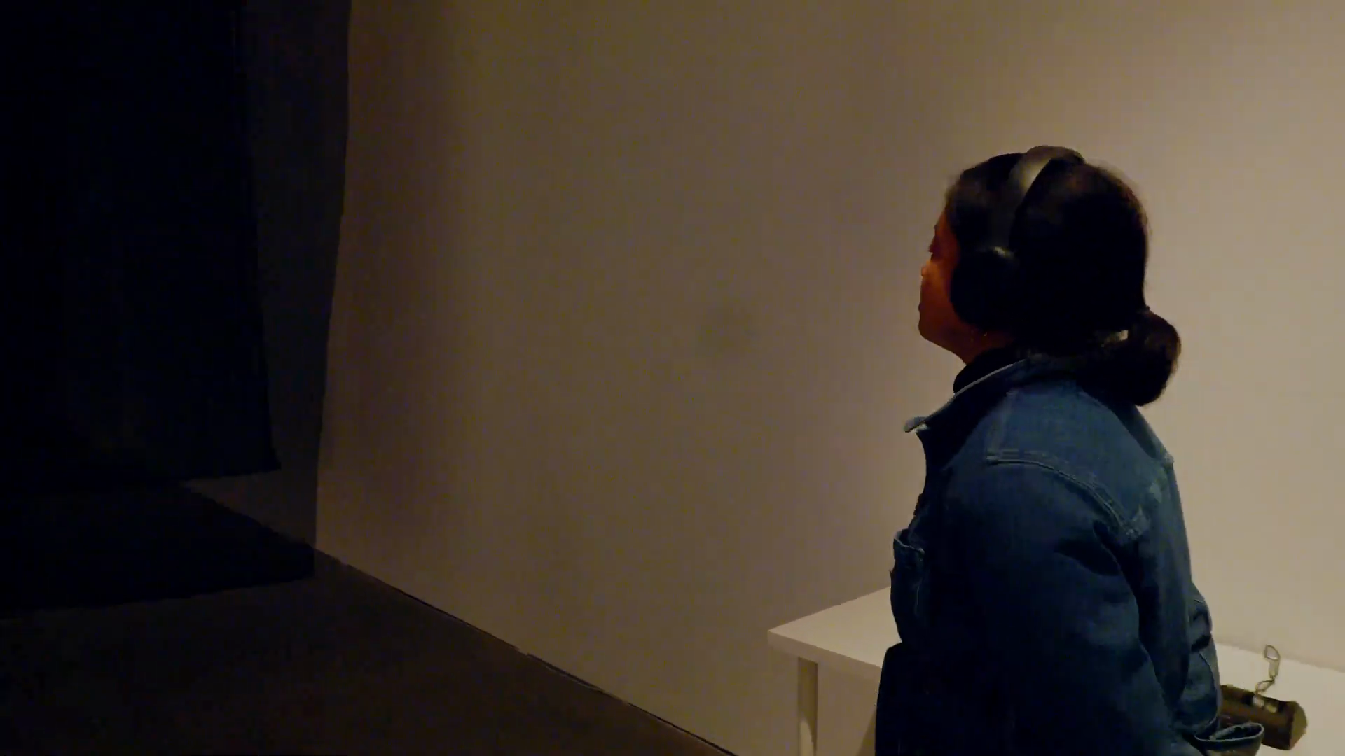Experiments in Art, Access and Technology, or E.A.A.T. chronicles the emergence of access as an animating principle of art, science, and technology. From participatory audio description to captions that evoke poetry, access is being reimagined as an expressive form that catalyzes new sensory possibilities for artistic experience. Despite their multimodal capacities, many media art tools remain inaccessible and have yet to benefit from this creative attention. E.A.A.T. introduces methods in art and technology that embody lived experiences of disability.

E.A.A.T. Co-curators share their experience and insights.